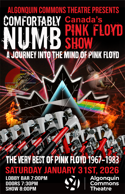 Tour 2026 Comfortably Numb Tickets